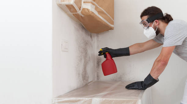 Professional Attic Mold Remediation technician working in West Chicago, IL