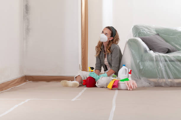 Reliable Attic Mold Remediation contractor in West Chicago, IL by Car Mold Remediation